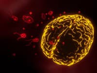 Obrovská rodinná tragédia: Smrtiaca améba si vyžiadala život ďalšieho dieťaťa, kúpalo sa v známom jazere