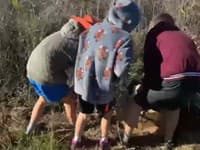 Neuveríte, čo objavila rodina v krabici pri ceste: VIDEO Ich reakcia vás dojme, TOTO nečakal nikto!