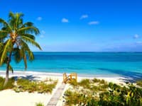 Odkritje redkih živalskih vrst in britanski tropski raj