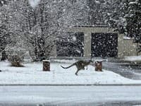 Extrémne počasie v Austrálii: Rekordné sneženie a silné búrky zasiahli východné oblasti, jedna osoba je nezvestná