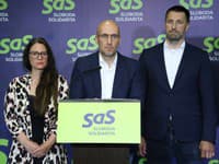 SaS kritizira slovaško vlado zaradi načrtovane energetske pomoči