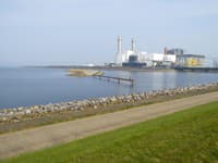 Francúzsku elektráreň dočasne odstavili po tom, ako medúzy upchali čerpadlá