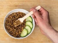 NEUVERÍTE, čím kŕmia červy v Srbsku: TAJNÁ zbraň proti plastom