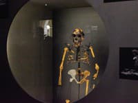 SVETOVÝ unikát v Čechách: Najslávnejšia kostra sveta je prvýkrát v Európe! VIEME, kde si ju môžete pozrieť