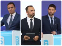 Veľký tresk u Progresívcov: Šimečkovci chcú ohúriť ekonomickým programom, z Bruselu povolali na pomoc aj Ódora!