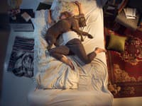 Spávate so svojím štvornohým miláčikom? OKAMŽITE prestaňte! Muž z Austrálie zaplatil takmer životom