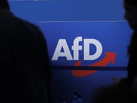 Škandál tesne pred voľbami: U spolupracovníka AfD mali nájsť drogy aj predmety s nacistickou tematikou