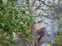 Bratislavskí hasiči zasahovali pri požiari jednoduchej stavby na strome