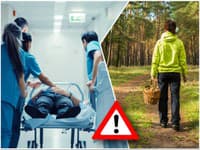 Dva páry si pomýlili huby, skončili v nemocnici! Otrava môže prísť aj po 24 hodinách, týmto MÝTOM neverte
