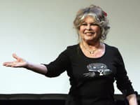 STRACH o ikonickú Brigitte Bardot (91): Je v NEMOCNICI... Operácia kvôli VÁŽNEJ CHOROBE!