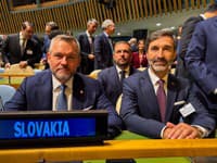 Blanár rokoval s partnermi z Ruska a Ghany o vzájomnej spolupráci