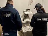 Poľská polícia odhalila najväčšiu výrobňu sfalšovaných liekov