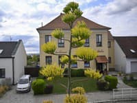 Davy návštevníkov sa zastavujú pri dome v Čechách: Takáto rarita sa často nevidí! Ľudia nechápu, čo TO vlastne je