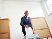 Je ROZHODNUTÉ: Parlamentné voľby v Česku vyhralo hnutie ANO Andreja Babiša