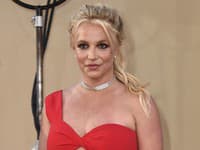 Speváčka Britney Spears.
