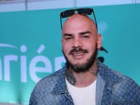 Michal Majself Švehla