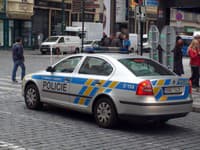 Iz psihiatrične bolnišnice Bohnice pobegnil nevaren morilec