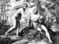 Nový výskum prepisuje históriu ľudstva: Je legendárny príbeh o biblickej dvojici skutočný? Vedci poznajú odpovede!