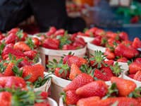 Máte problém s uskladnením jahôd? Po TEJTO rade vám vydržia voňavé a šťavnaté aj celý rok!