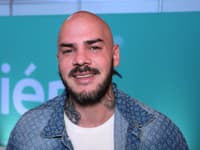 Michal Majself Švehla