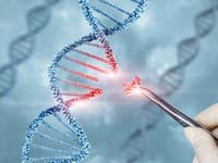 Svet v ŠOKU: V DNA jedenástich rodín objavili mimozemské gény! Môže ísť o genetickú inváziu?