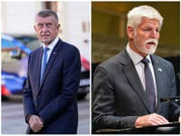 Všetko ide podľa plánu: Prezident sa vyjadrí ohľadom poverenia, uviedol Babiš