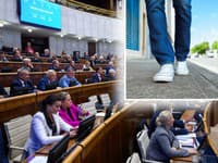 Poslanci stanovili maximálnu rýchlosť chôdze: TOTO bude limit