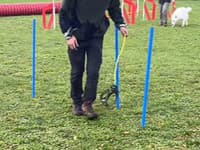 Nový trend z Nemecka ŠOKUJE: Po hobby horsingu prichádza dogging! Ľudia chodia VENČIŤ VZDUCH