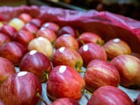 Mysleli ste si, že čísla na jablkách nič neznamenajú? OMYL! Tieto kódy odhalia, čo NAOZAJ jete