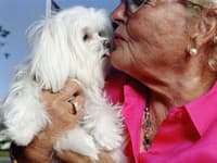 Veterinár bije na poplach: Prestaňte sa bozkávať so svojím psom! Jeho sliny vás môžu zabiť