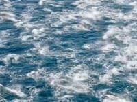 Úžasné prírodné divadlo na vlastné oči: Tisíce delfínov naraz vo VIDEU, ktoré uchvátilo milióny ľudí