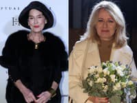 Módna prehliadka Marcela Holubca. 