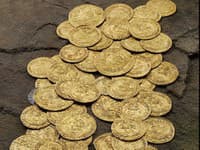 Záhrada sa zmenila na zlatú baňu: Nález za pol milióna zmenil život manželov navždy! Neuveríte, čo našli