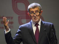 Babiš obljubil Pavlu predložitev kandidatov za ministre po 24. novembru