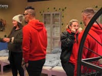 Dominika Cibulková sa objavila v markizáckej Farme