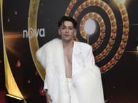 Odovzdávanie cien Český Slávik 2025, Jan Bendig