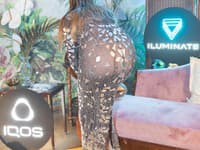 Andrea Verešová v priesvitných šatách