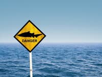 Žralok v Avstraliji napadel dva človeka, ženska umrla, moški v bolnišnici