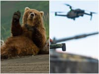 Japonci vytiahli zbraň, akú svet nevidel: Na medvede nasadili DRONY so psím štekotom! VIDEO z testovania desí aj ľudí
