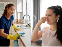 Odborník odhalil KRUTÚ pravdu: Vaša domácnosť SMRDÍ viac, než si myslíte! Najväčší smrad pochádza z… TOTO vás prekvapí