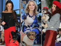 Tak TOTO tu ešte nebolo! Celebrity v netradičnej úlohe... Aha, s kým hviezdili na móle!