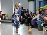 Módna prehliadka so psami. Na snímke Janka Hospodárová