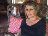 Šokujúce slová legendárnej Brigitte Bardot (91): Viackrát sa pokúsila o samovraždu!