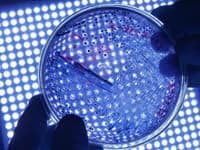 Mikrobiológ spravil NAJNECHUTNEJŠÍ test sveta: Spočítal baktérie v PRDNUTÍ! Výsledok vás zloží