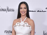 OBROVSKÉ Faux pas Katy Perry na diplomatickom stretnutí: Módni kritici sa musia chytať za hlavu!
