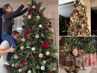 Hlasovačka za celebritný NAJ stromček ROKA: Gýč či klasika? Rozhodnite