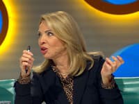 Zdena Studenková v Inkognite