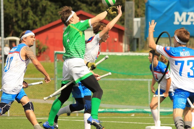 Slovensko vs. Írsko