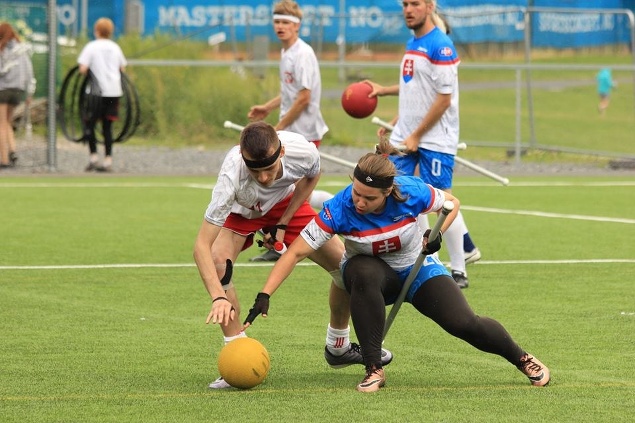 Slovensko vs. Írsko