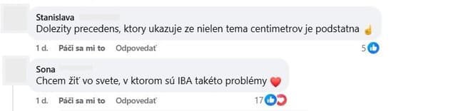 Penisy na tapisérii dostali